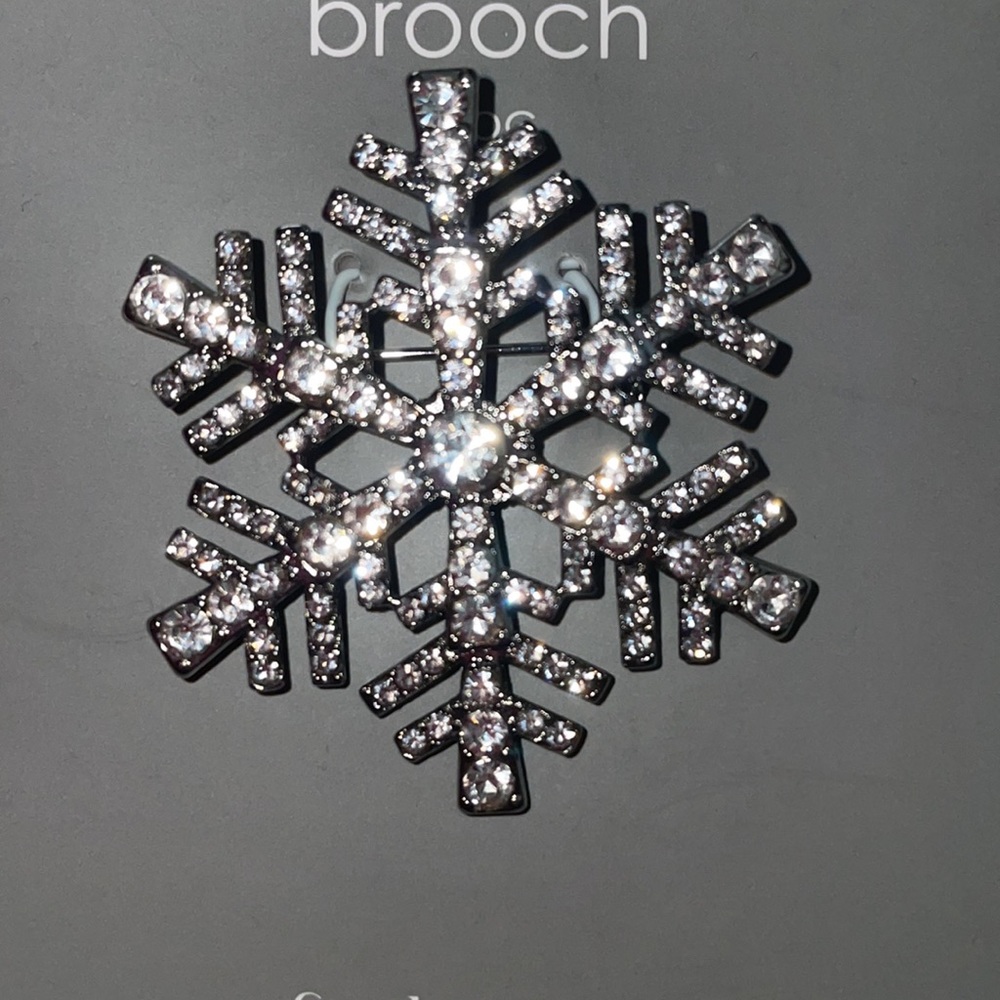 Beautiful Snowflake Brooch